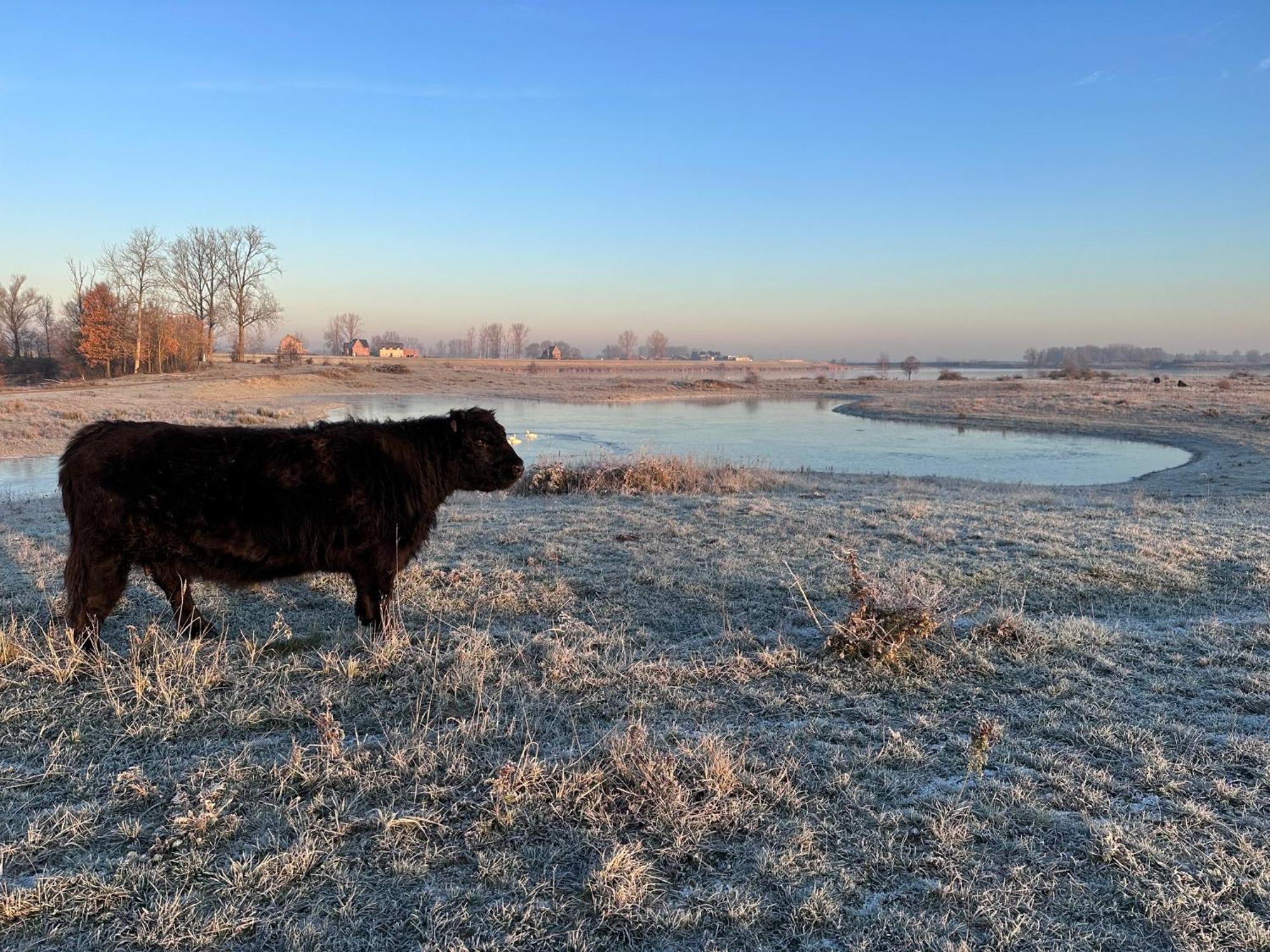 Wuytershoef Villa Dilsen-Stokkem Buitenkant foto